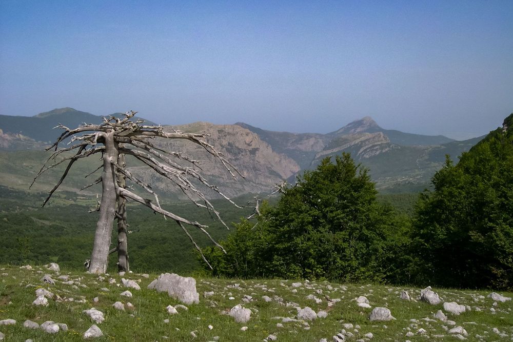 Vista sulla Valle del Raganello - Foto di Giuseppe De Vivo