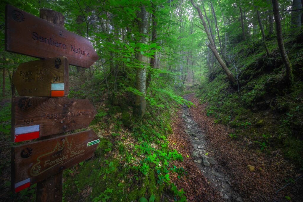 Foto di Francesco Lemma