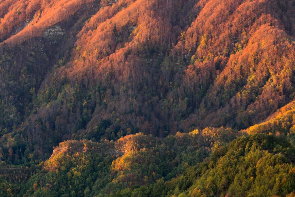 I ripidi versanti di Sasso Fratino - Foto di Riccardo Rimondi