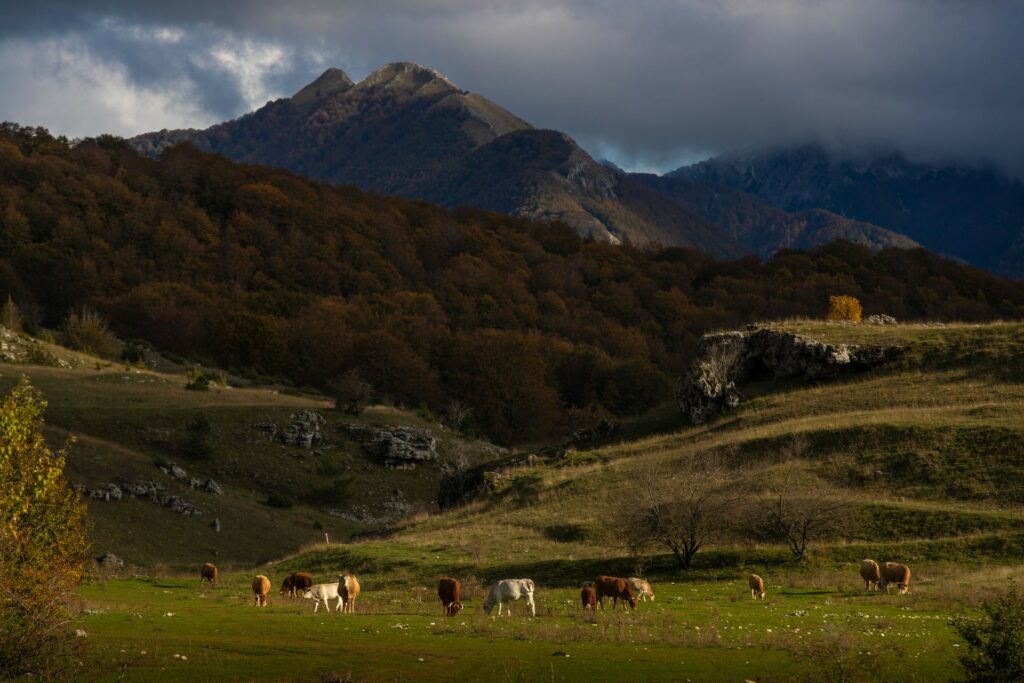 Abruzzo-Attivita-_MG_9009-Francesco-Lemma.jpg