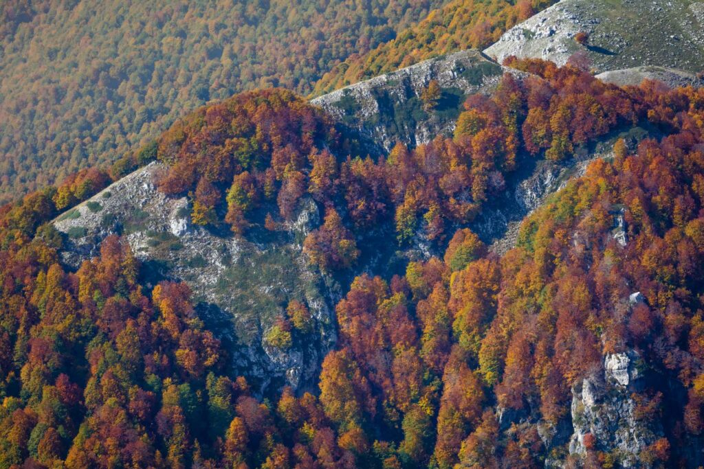 Foto di Francesco Lemma