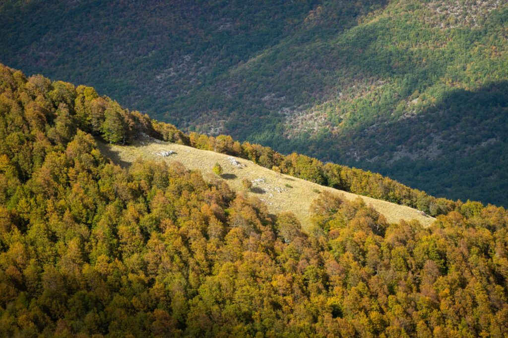 Abruzzo-Territorio-_DSC5795-Francesco-Lemma.jpg