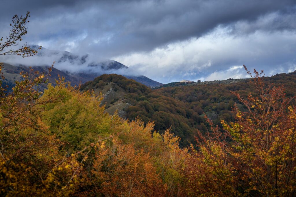 Abruzzo-Territorio-_MG_8893-Francesco-Lemma.jpg