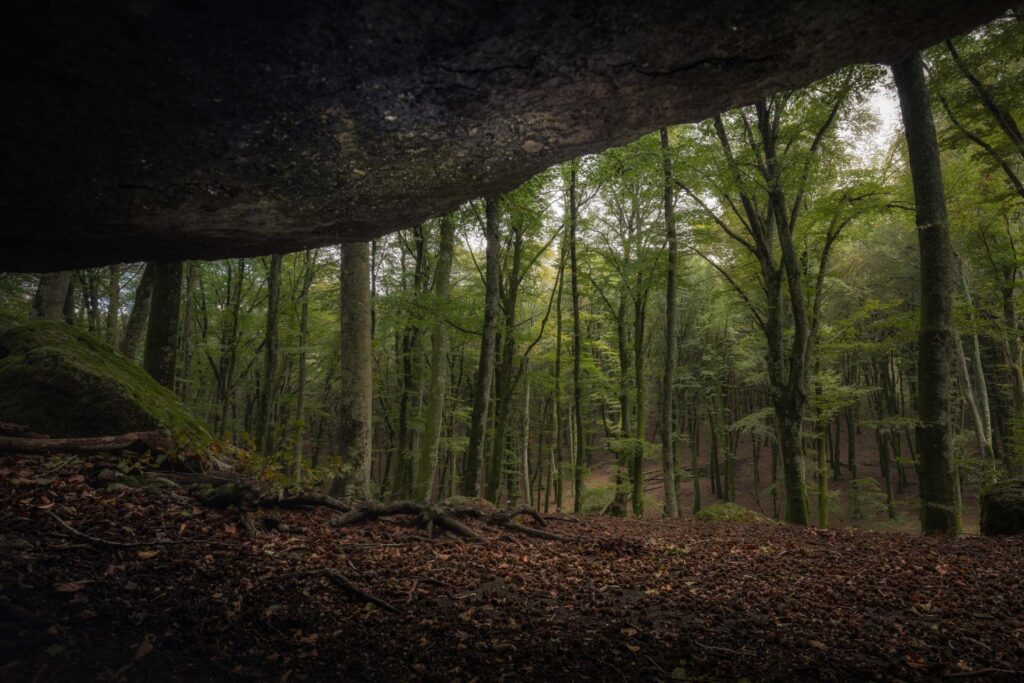 Foto di Francesco Lemma