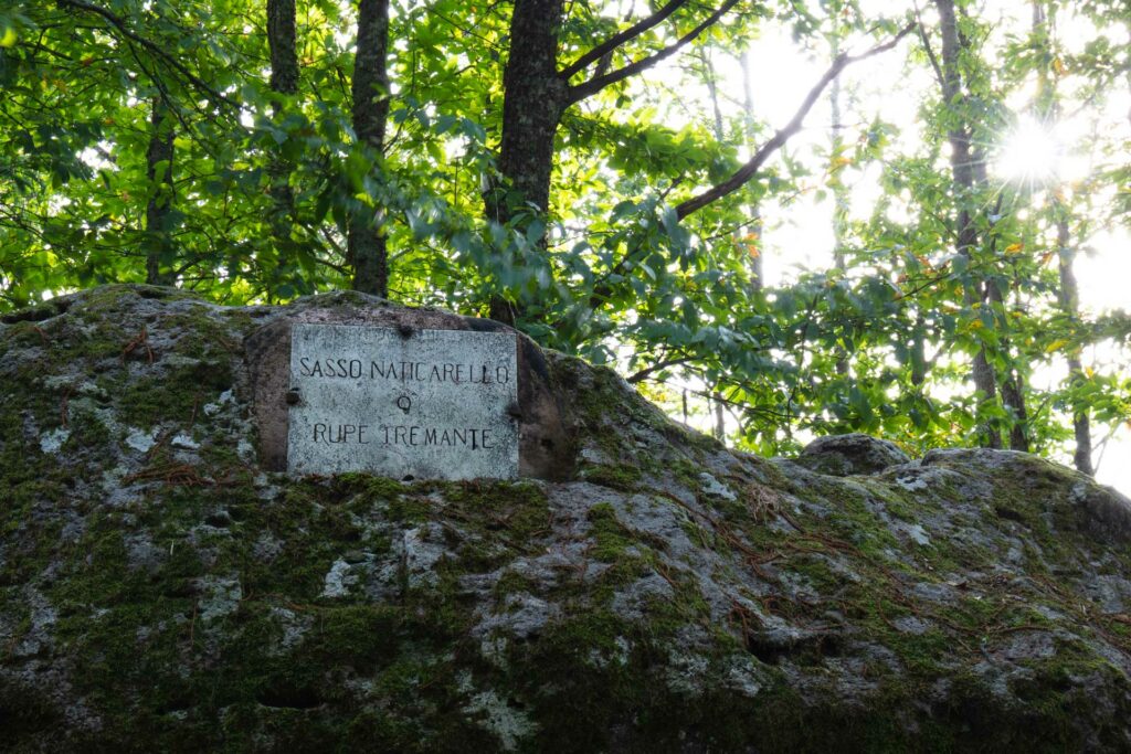 Foto di Francesco Lemma