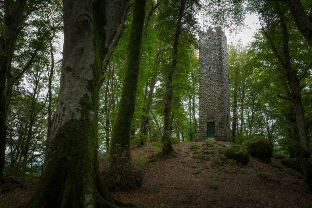 Cimino-attivita-Torre-_C7A7838-Francesco-Lemma.jpg