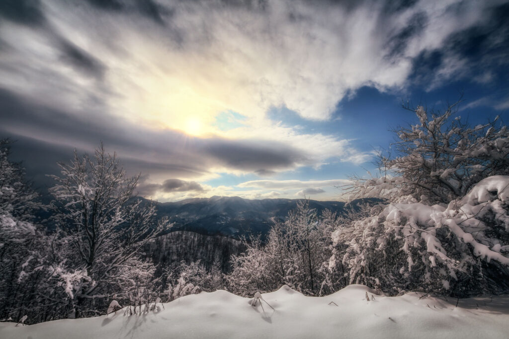 Foreste-Casentinesi-paesaggio-invernale-IMG_6430-Francesco-Lemma.jpg