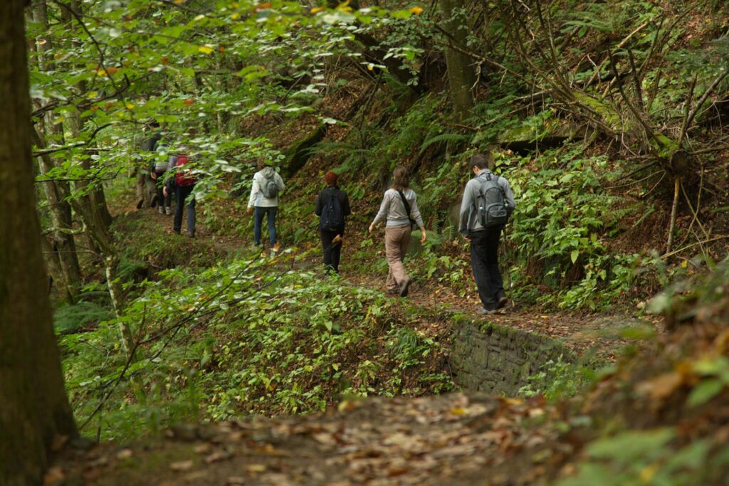 Foreste-Casentinesi-sentieri-9367-Matteo-Perini.jpg