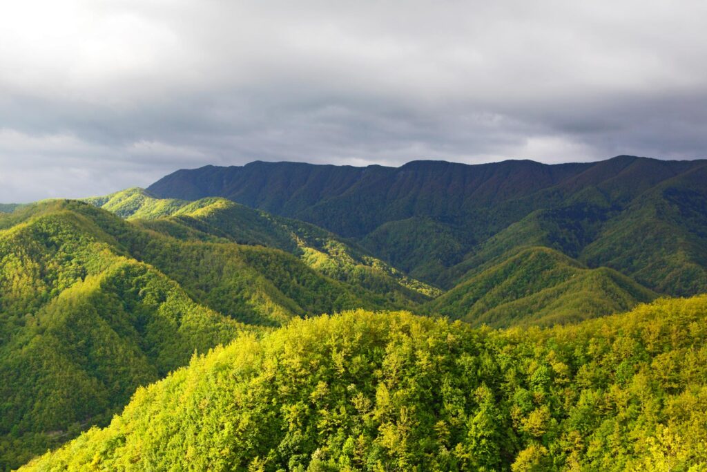 Foreste-Casentinesi-territorio-Foto-di-Alessandro-Cappuccioni-2.jpg