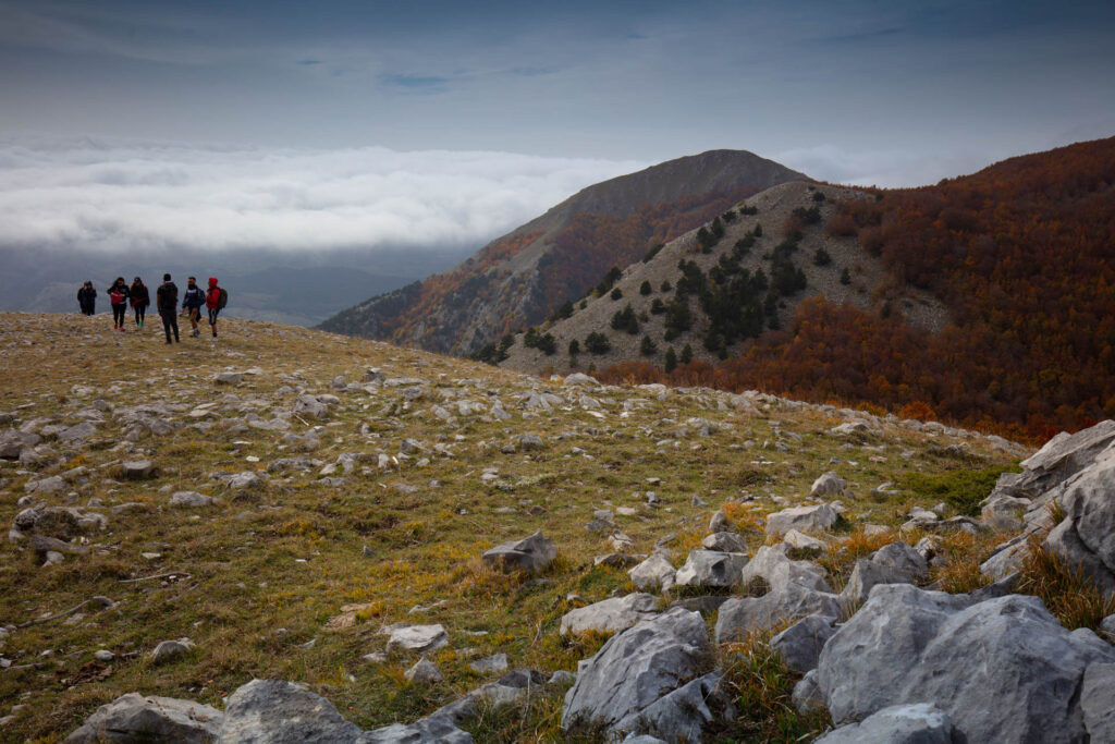 Foto di Francesco Lemma