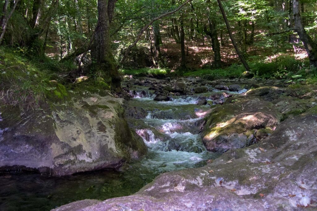 Pollino-Attivita-peschiera-03.jpg