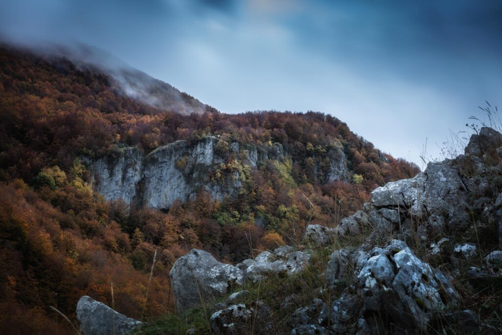 Pollino-Territorio-_C7A8825-Francesco-Lemma.jpg