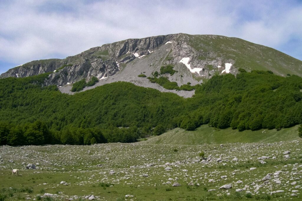 Pollino-territorio-1.jpg