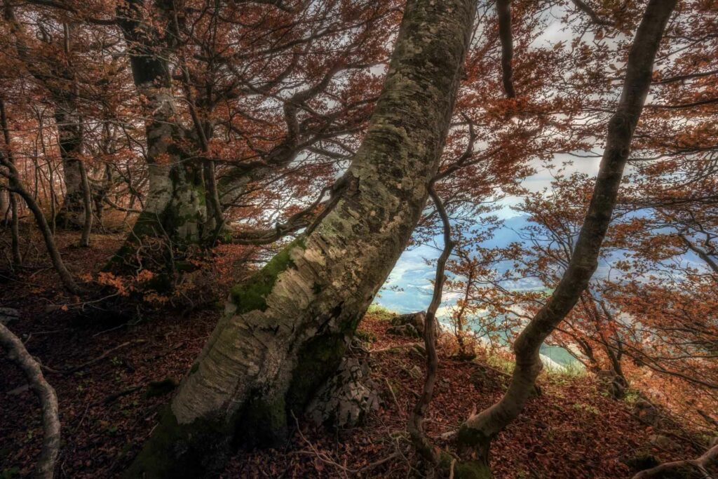 Pollino-territorio-_C7A9140-Francesco-Lemma.jpg