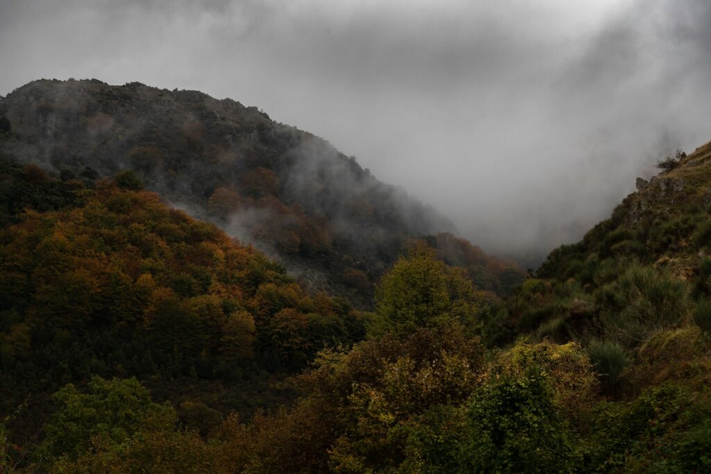 Pollino-territorio-_MG_9131-Francesco-Lemma.jpg