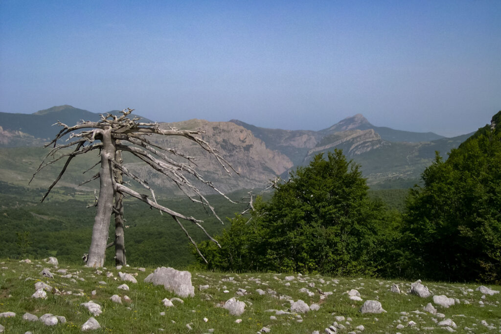 Vista sulla valle del Raganello  - Foto di Giuseppe De Vivo