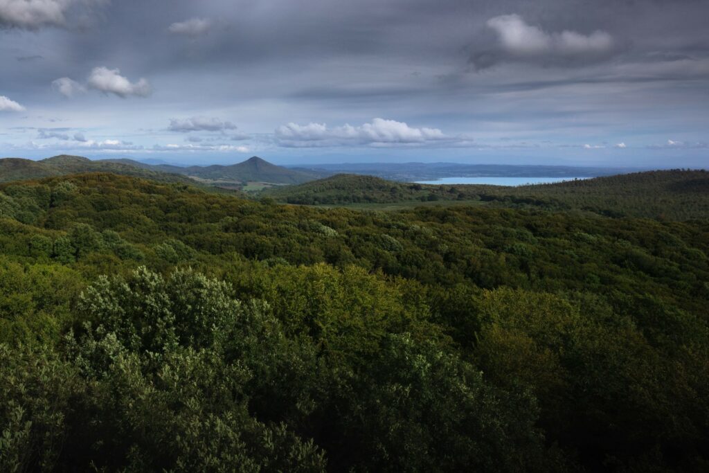 Raschio-territorio-faggeta-verso-lago-di-bracciano-_C7A8076-Francesco-Lemma.jpg